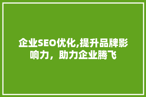 企业SEO优化,提升品牌影响力，助力企业腾飞 GoogleSEO