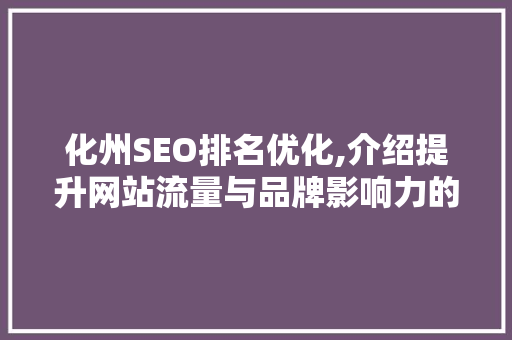 化州SEO排名优化,介绍提升网站流量与品牌影响力的方法 GoogleSEO