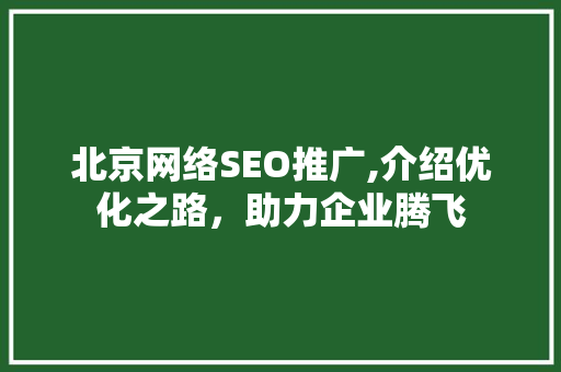 北京网络SEO推广,介绍优化之路，助力企业腾飞 GoogleSEO