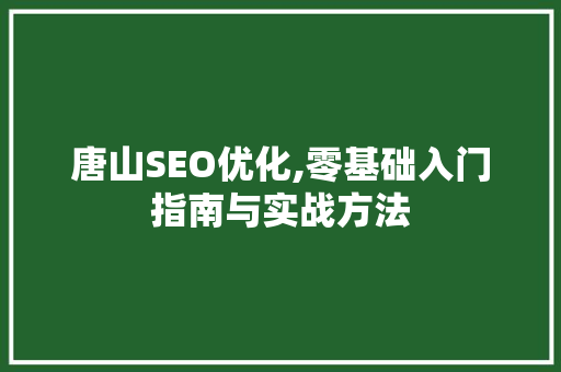 唐山SEO优化,零基础入门指南与实战方法 必应SEO