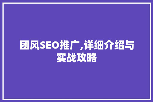 团风SEO推广,详细介绍与实战攻略 GoogleSEO