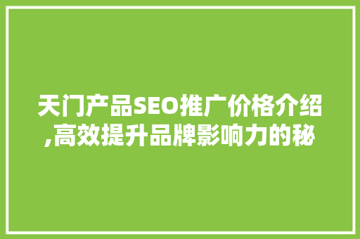 天门产品SEO推广价格介绍,高效提升品牌影响力的秘密武器 GoogleSEO