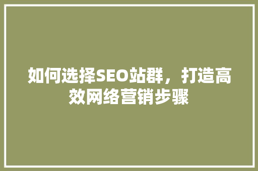 如何选择SEO站群，打造高效网络营销步骤 百度SEO