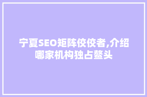 宁夏SEO矩阵佼佼者,介绍哪家机构独占鳌头 神马SEO