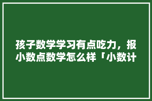 孩子数学学习有点吃力，报小数点数学怎么样「小数计算为什么小数点要对齐」