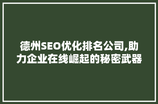 德州SEO优化排名公司,助力企业在线崛起的秘密武器 百度SEO