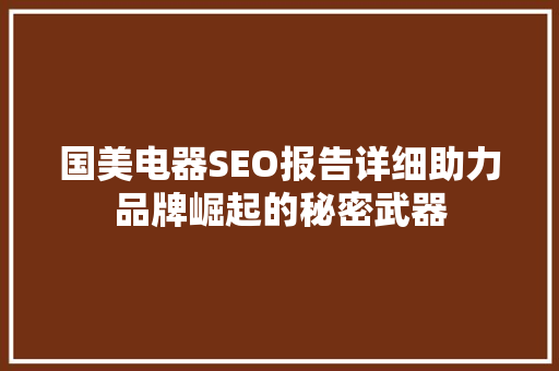 国美电器SEO报告详细助力品牌崛起的秘密武器