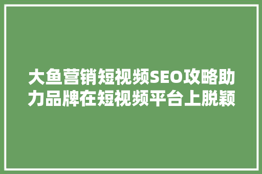 大鱼营销短视频SEO攻略助力品牌在短视频平台上脱颖而出 GoogleSEO