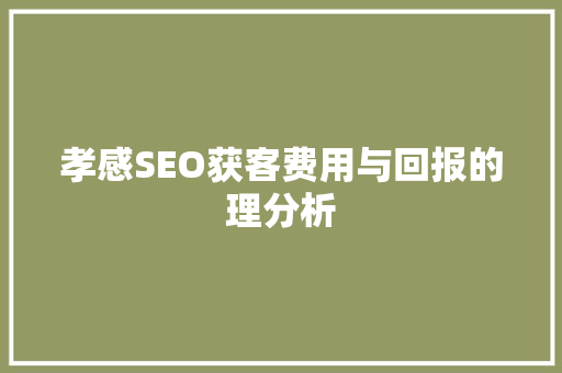 孝感SEO获客费用与回报的理分析 神马SEO