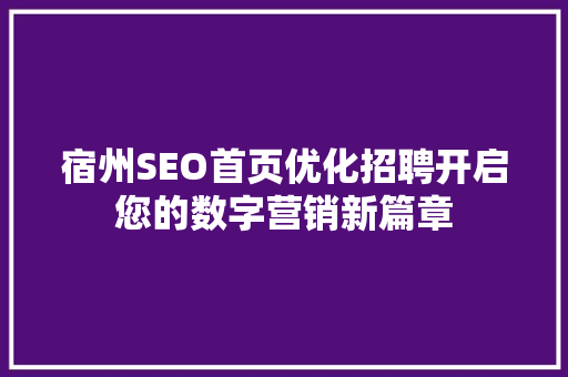 宿州SEO首页优化招聘开启您的数字营销新篇章 百度SEO