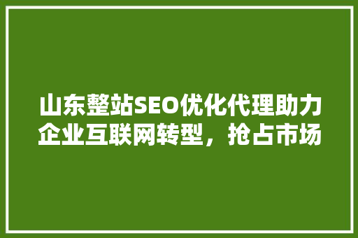 山东整站SEO优化代理助力企业互联网转型，抢占市场先机 百度SEO