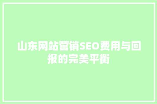 山东网站营销SEO费用与回报的完美平衡 GoogleSEO