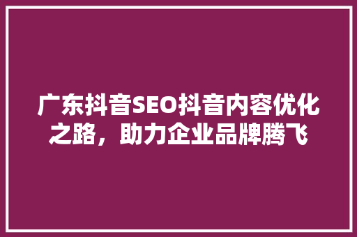 广东抖音SEO抖音内容优化之路，助力企业品牌腾飞 搜狗SEO