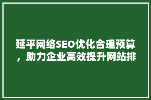 延平网络SEO优化合理预算，助力企业高效提升网站排名 必应SEO