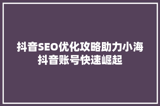 抖音SEO优化攻略助力小海抖音账号快速崛起 神马SEO