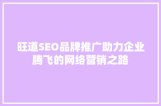 旺道SEO品牌推广助力企业腾飞的网络营销之路 GoogleSEO