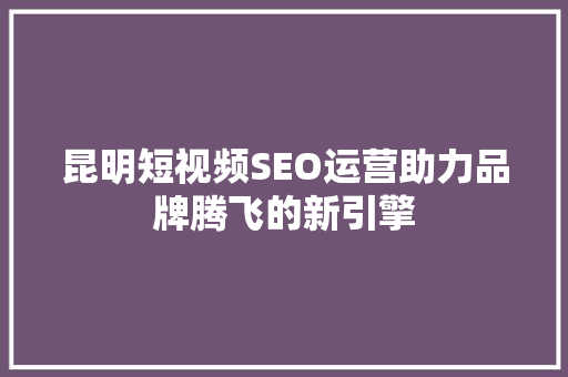 昆明短视频SEO运营助力品牌腾飞的新引擎