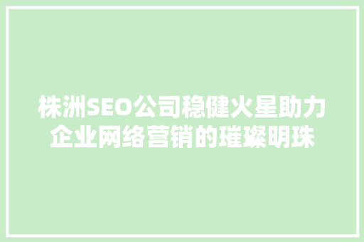 株洲SEO公司稳健火星助力企业网络营销的璀璨明珠 百度SEO