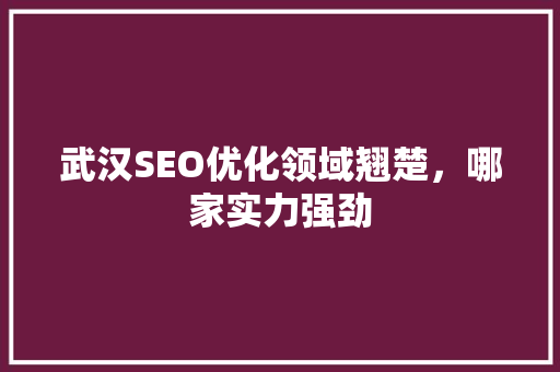 武汉SEO优化领域翘楚，哪家实力强劲 神马SEO