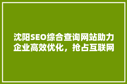 沈阳SEO综合查询网站助力企业高效优化，抢占互联网市场先机 必应SEO