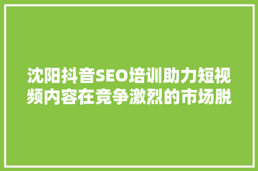 沈阳抖音SEO培训助力短视频内容在竞争激烈的市场脱颖而出 GoogleSEO