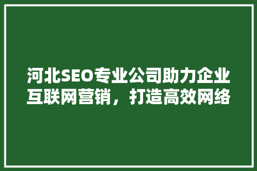 河北SEO专业公司助力企业互联网营销，打造高效网络品牌形象 GoogleSEO