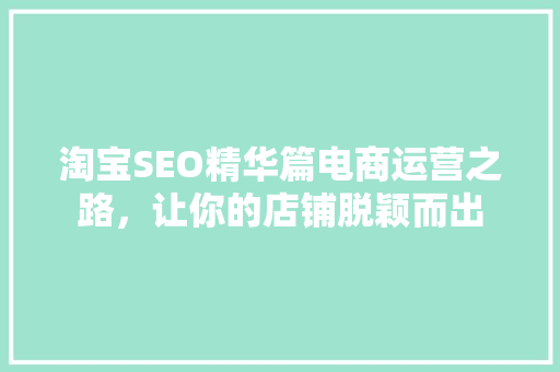 淘宝SEO精华篇电商运营之路，让你的店铺脱颖而出 百度SEO