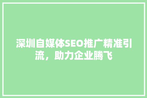 深圳自媒体SEO推广精准引流，助力企业腾飞