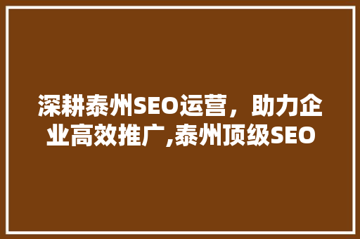 深耕泰州SEO运营，助力企业高效推广,泰州顶级SEO运营推广公司