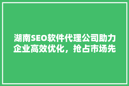 湖南SEO软件代理公司助力企业高效优化，抢占市场先机 神马SEO
