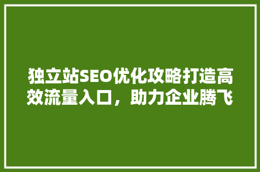 独立站SEO优化攻略打造高效流量入口，助力企业腾飞 搜狗SEO
