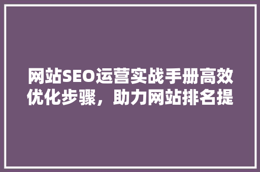 网站SEO运营实战手册高效优化步骤，助力网站排名提升 神马SEO