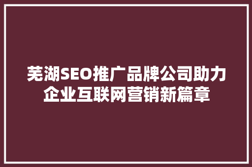 芜湖SEO推广品牌公司助力企业互联网营销新篇章 GoogleSEO