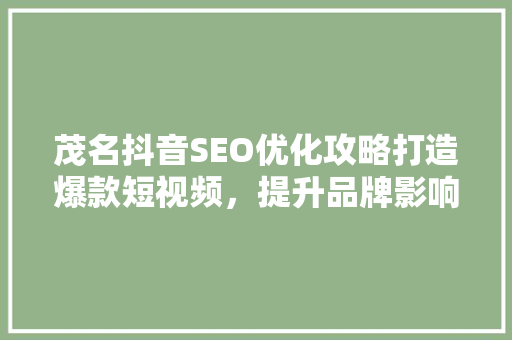 茂名抖音SEO优化攻略打造爆款短视频，提升品牌影响力 神马SEO