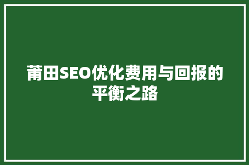 莆田SEO优化费用与回报的平衡之路