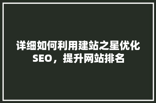 详细如何利用建站之星优化SEO，提升网站排名