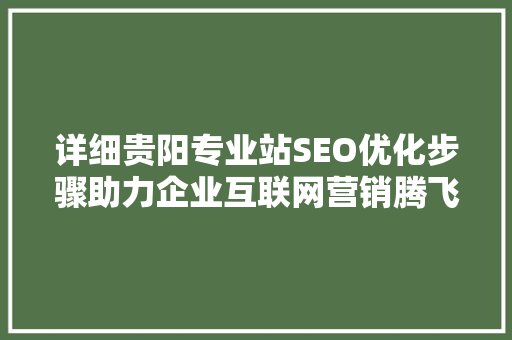 详细贵阳专业站SEO优化步骤助力企业互联网营销腾飞 GoogleSEO
