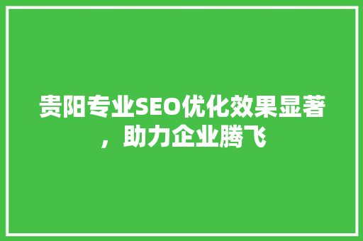 贵阳专业SEO优化效果显著，助力企业腾飞 搜狗SEO