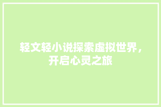 轻文轻小说探索虚拟世界，开启心灵之旅 必应SEO
