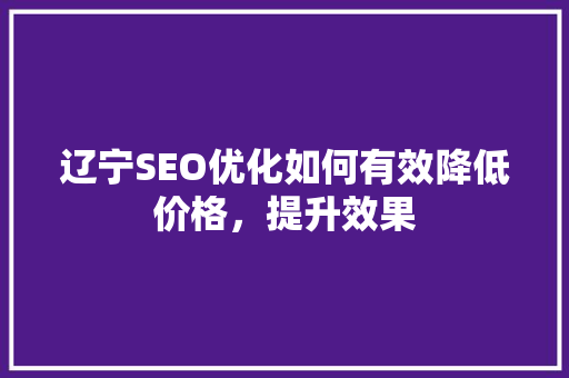 辽宁SEO优化如何有效降低价格，提升效果 GoogleSEO