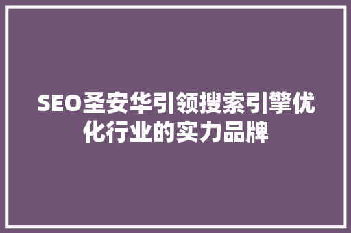 SEO圣安华引领搜索引擎优化行业的实力品牌 GoogleSEO