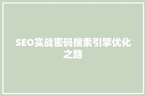 SEO实战密码搜索引擎优化之路 神马SEO
