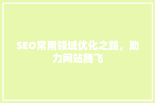 SEO常用领域优化之路，助力网站腾飞 GoogleSEO