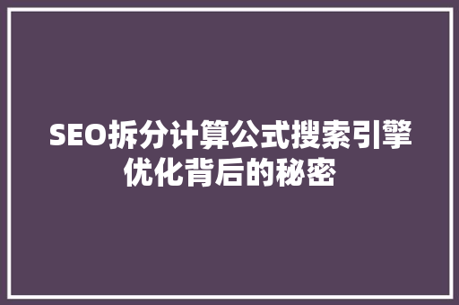 SEO拆分计算公式搜索引擎优化背后的秘密 GoogleSEO