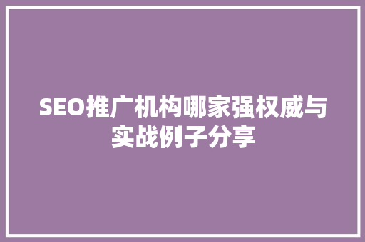 SEO推广机构哪家强权威与实战例子分享