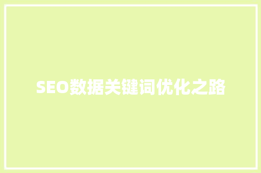 SEO数据关键词优化之路