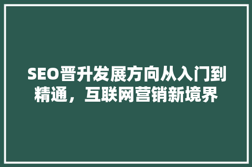 SEO晋升发展方向从入门到精通，互联网营销新境界 神马SEO