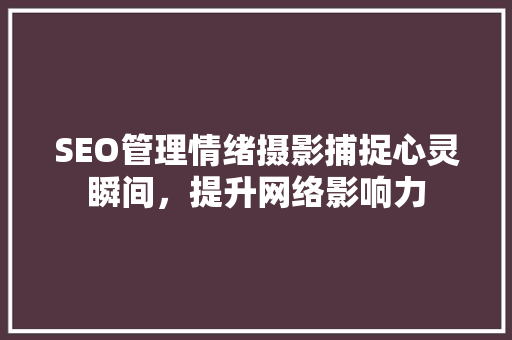 SEO管理情绪摄影捕捉心灵瞬间，提升网络影响力