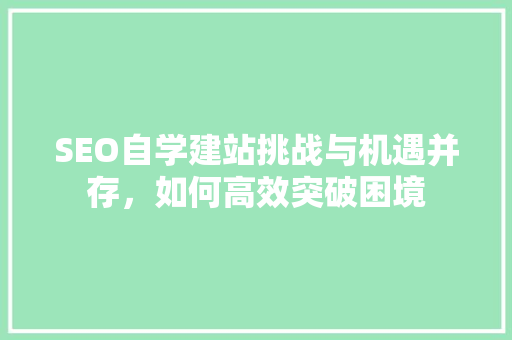 SEO自学建站挑战与机遇并存，如何高效突破困境 GoogleSEO