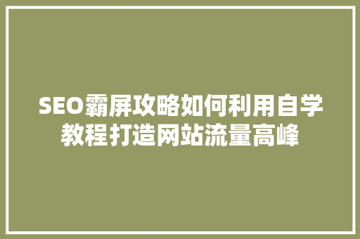 SEO霸屏攻略如何利用自学教程打造网站流量高峰 GoogleSEO